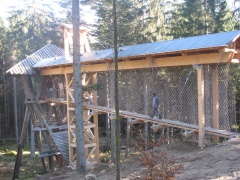 Bild 078