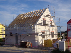 DSC00567
